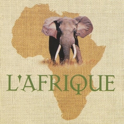 afrique
