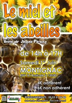 miel et abeilles internet