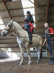 equitation_aol