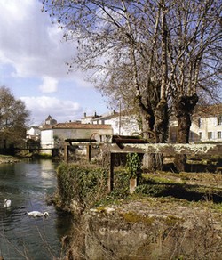 ville de cognac internet img